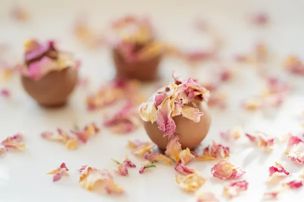 Cazino Lotus Asia Cazinou Aplicație Android/iOS